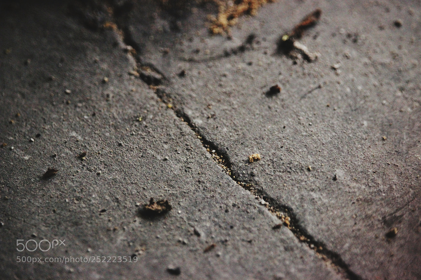 Canon EOS 600D (Rebel EOS T3i / EOS Kiss X5) sample photo. Eyeemfiltered photography