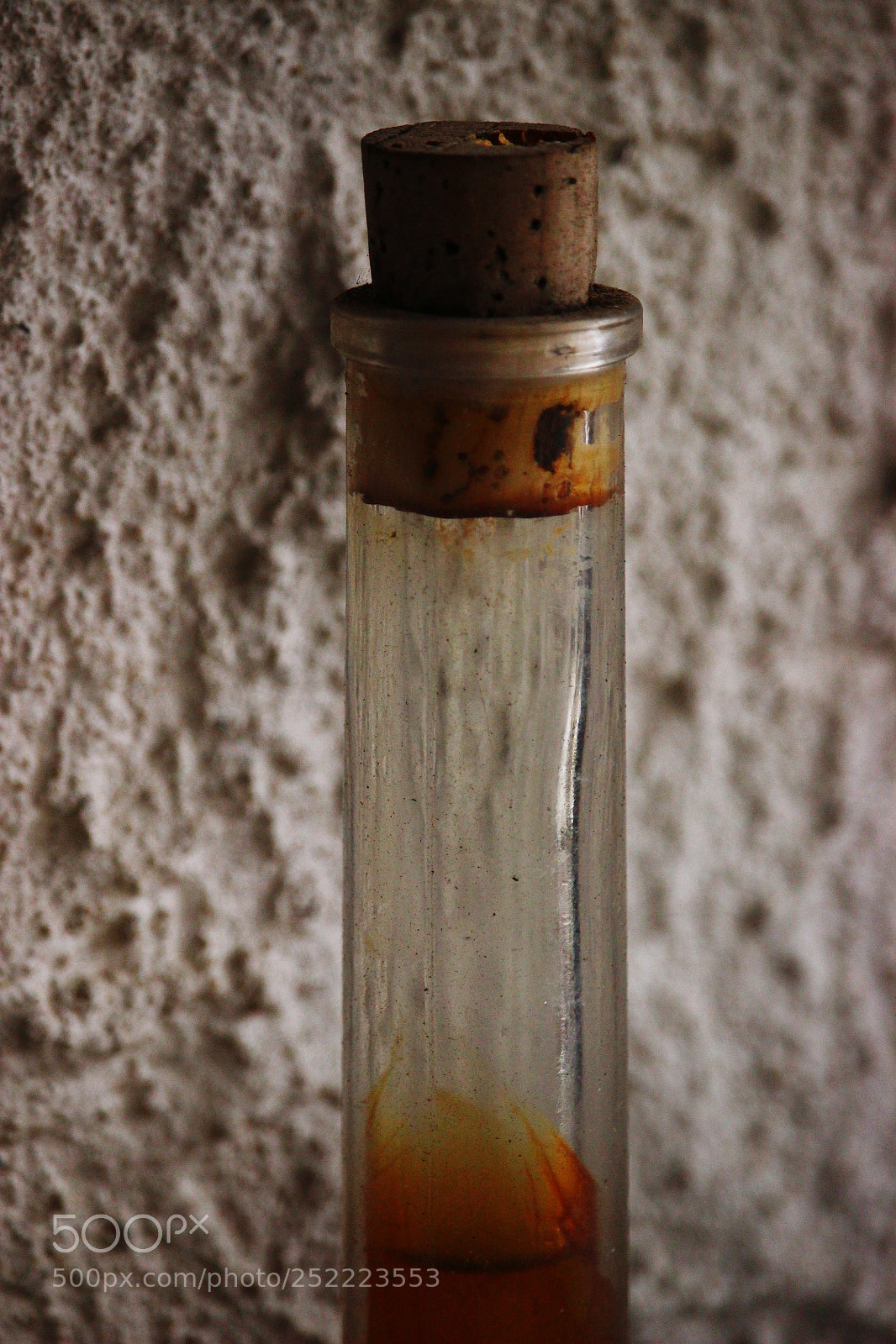 Canon EOS 600D (Rebel EOS T3i / EOS Kiss X5) sample photo. Eyeemfiltered photography