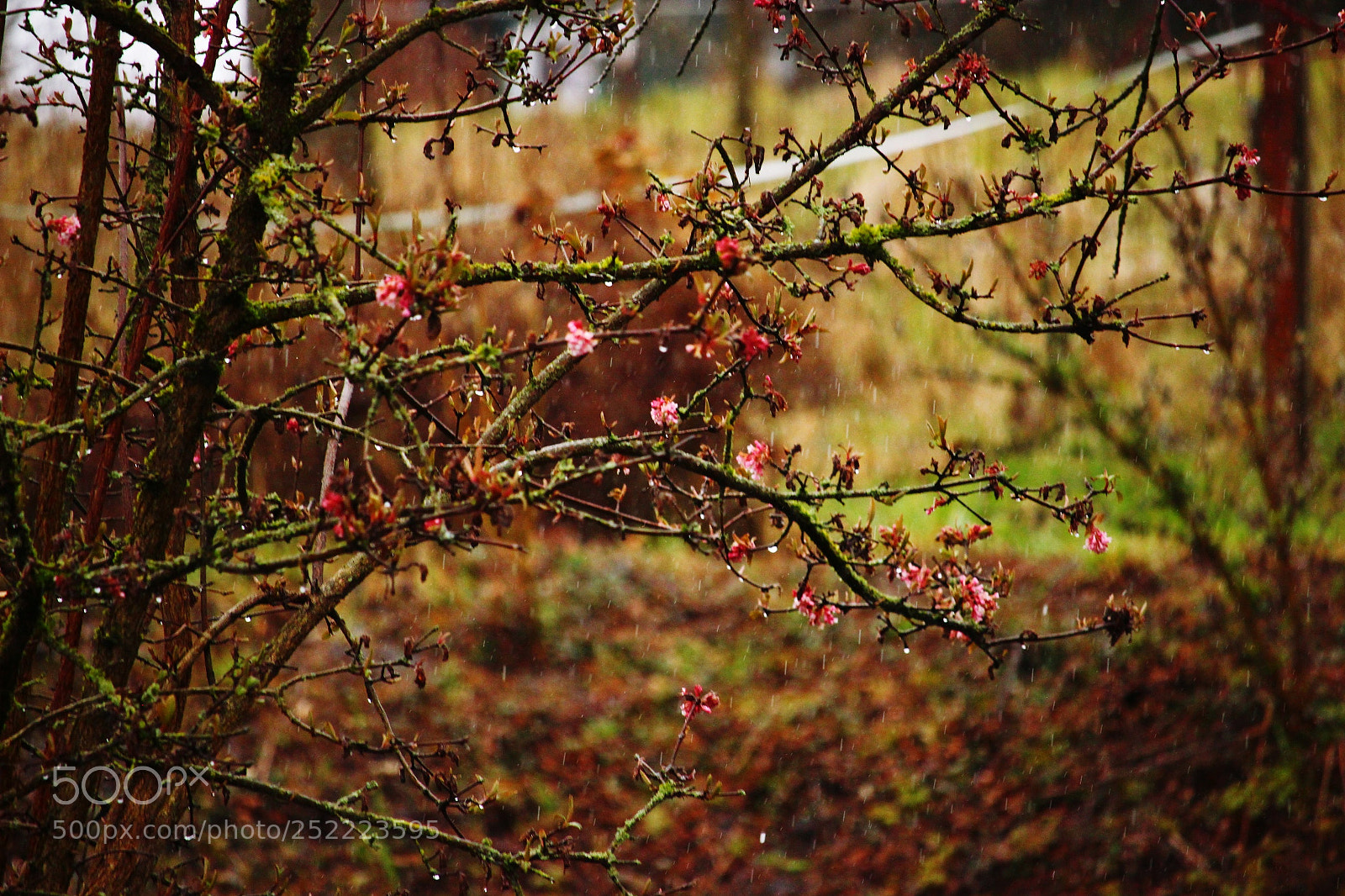 Canon EOS 600D (Rebel EOS T3i / EOS Kiss X5) sample photo. Eyeemfiltered photography