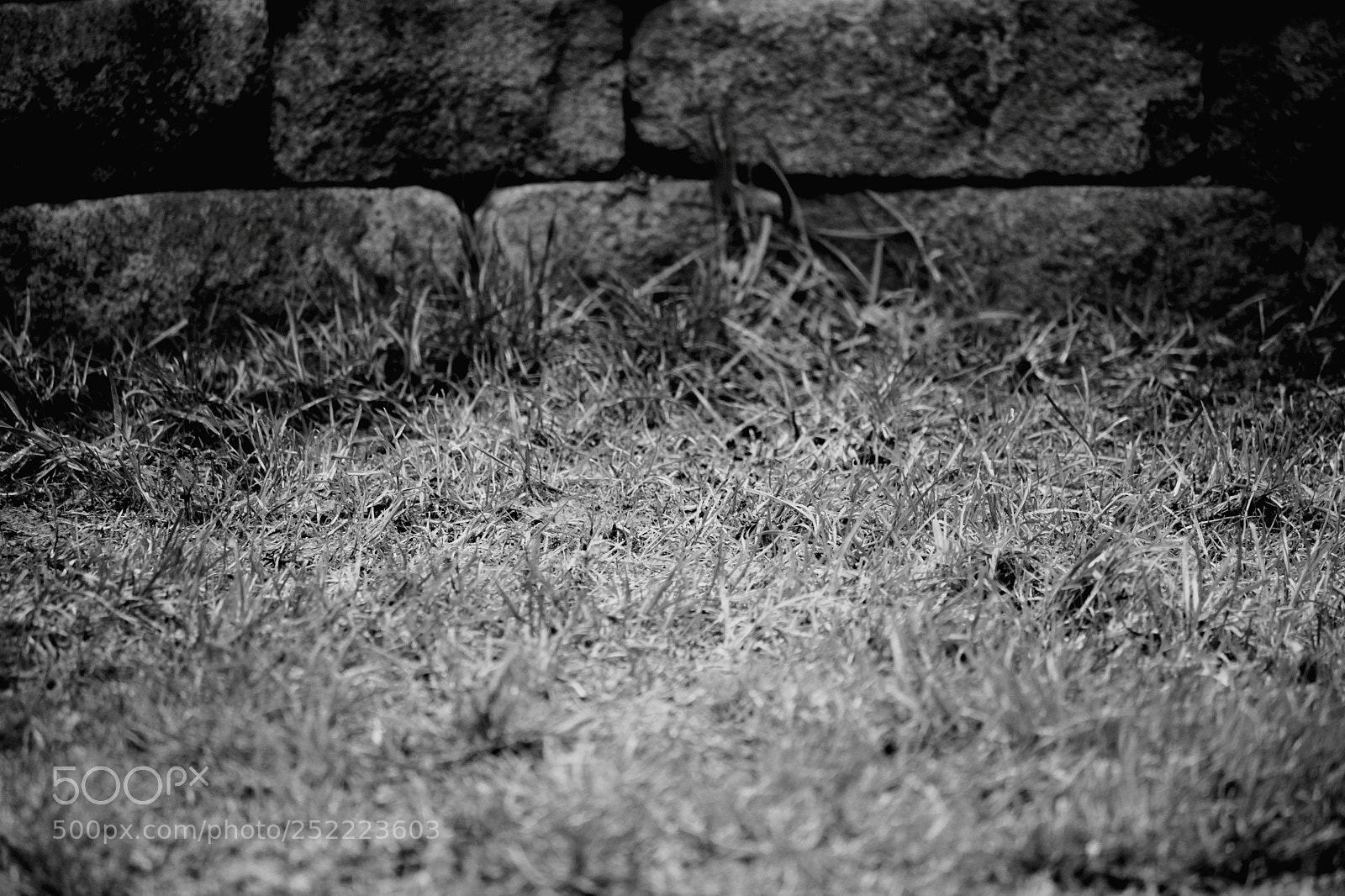 Canon EOS 600D (Rebel EOS T3i / EOS Kiss X5) sample photo. Eyeemfiltered photography