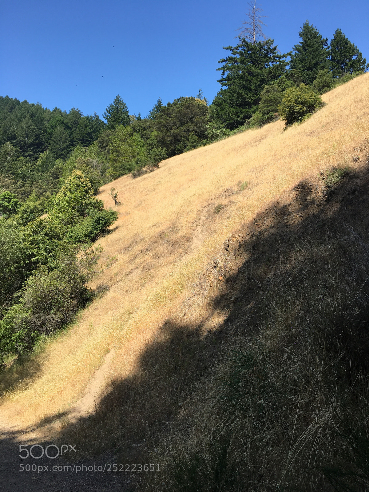 Apple iPhone 6s Plus sample photo. Sanborn trail - hayfield photography