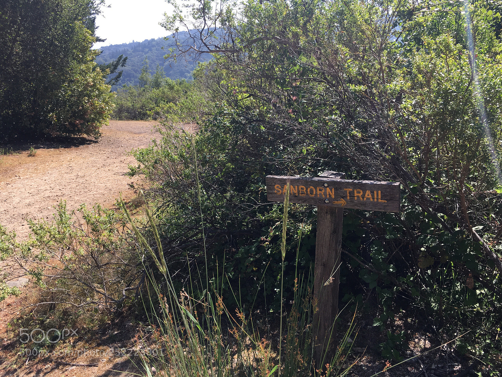 Apple iPhone 6s Plus sample photo. Sanborn trail - junction photography