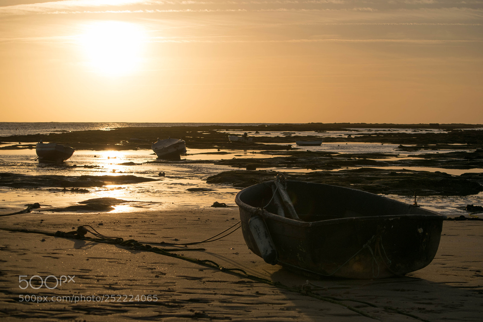 Nikon D5300 sample photo. Caleta photography