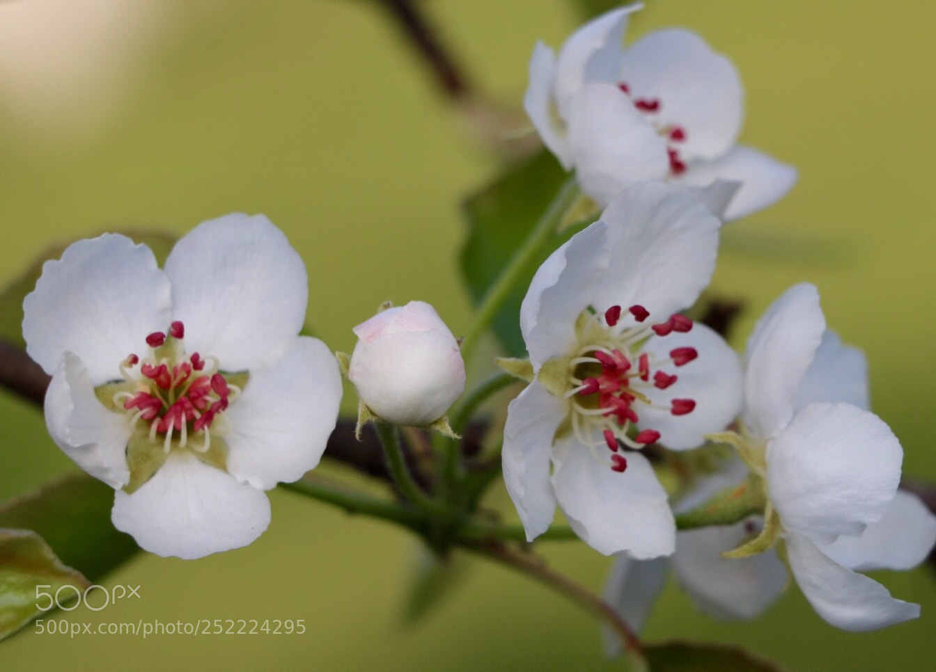 Canon EOS 750D (EOS Rebel T6i / EOS Kiss X8i) sample photo. Untitled photography