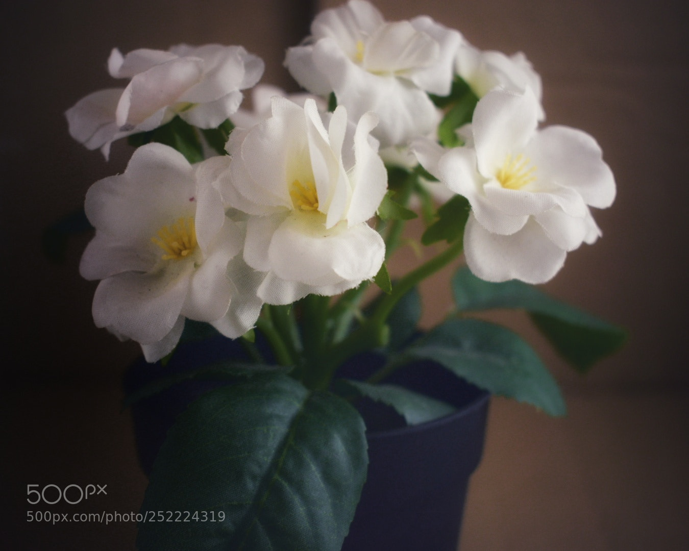 Nikon D5300 sample photo. Untitled photography