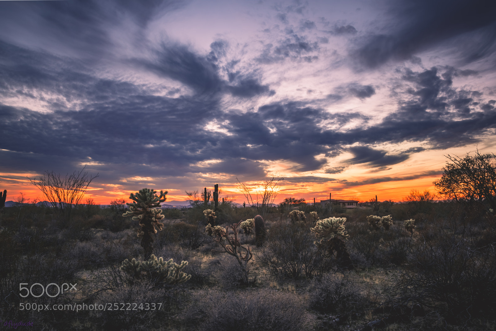 Nikon D5600 sample photo. Troubled sky prickly land 2673 photography