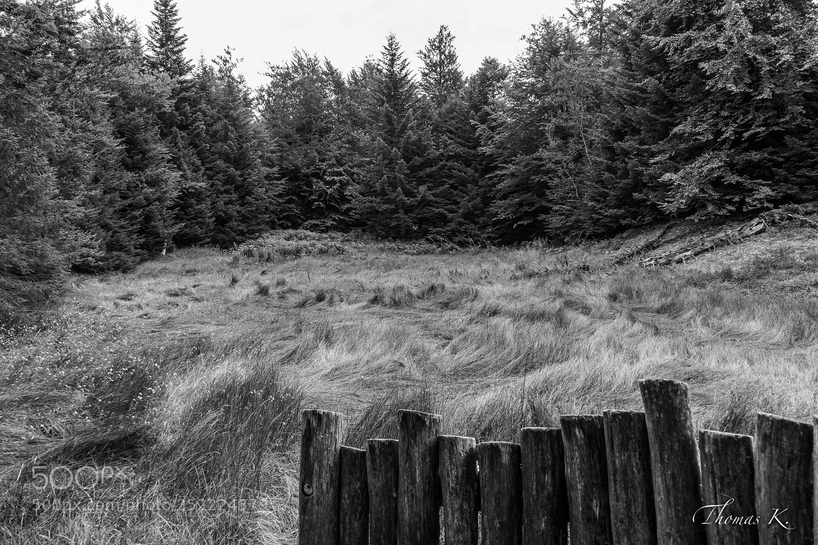 Sony a7 sample photo. Der märchenwiese photography