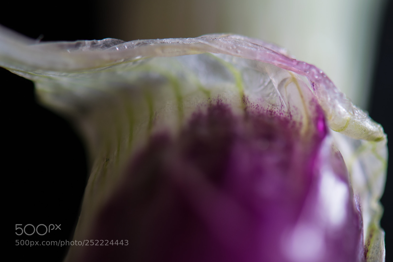 Nikon D5300 sample photo. Transition point photography