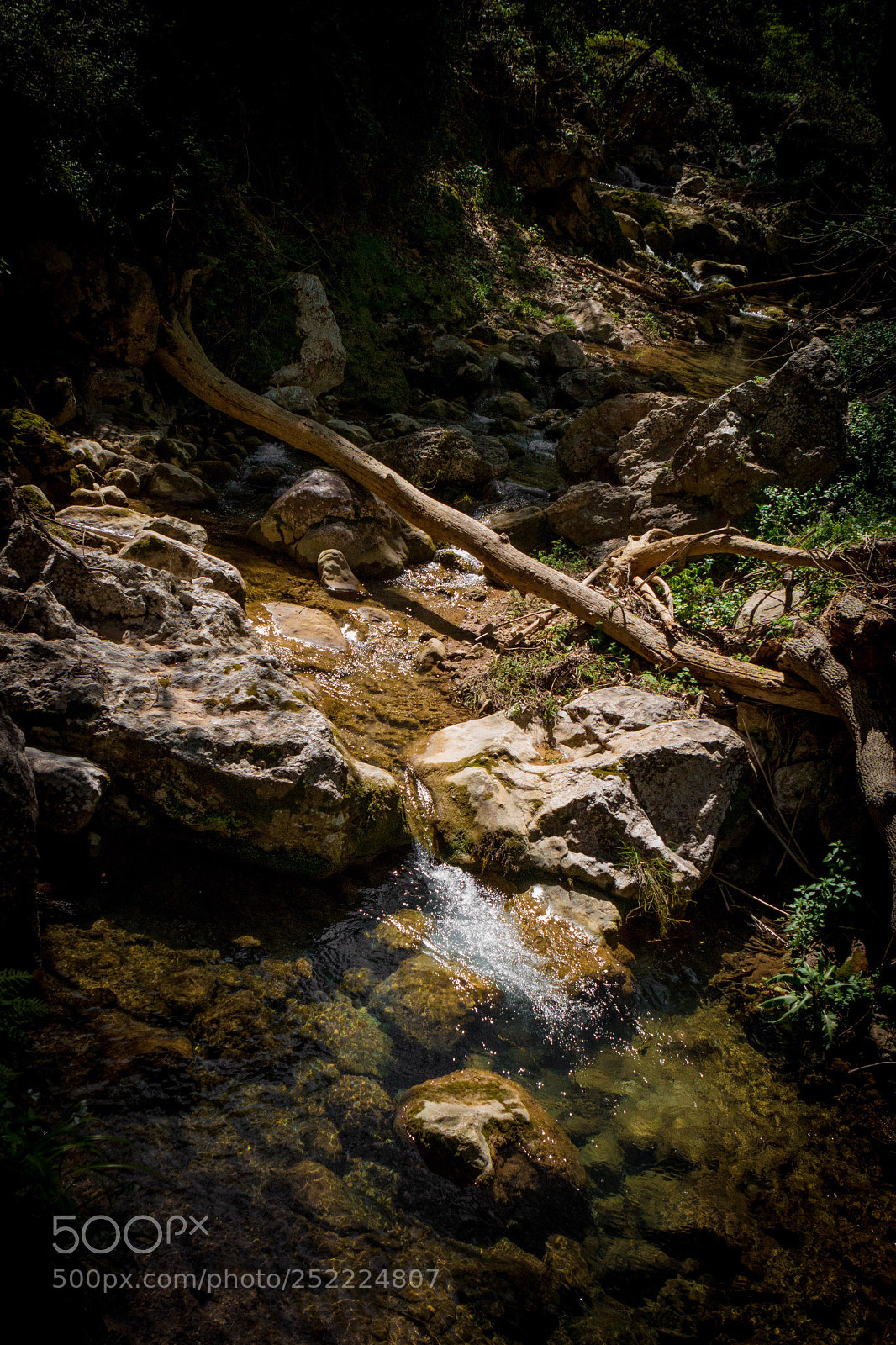 Canon EOS 70D sample photo. Inflow photography