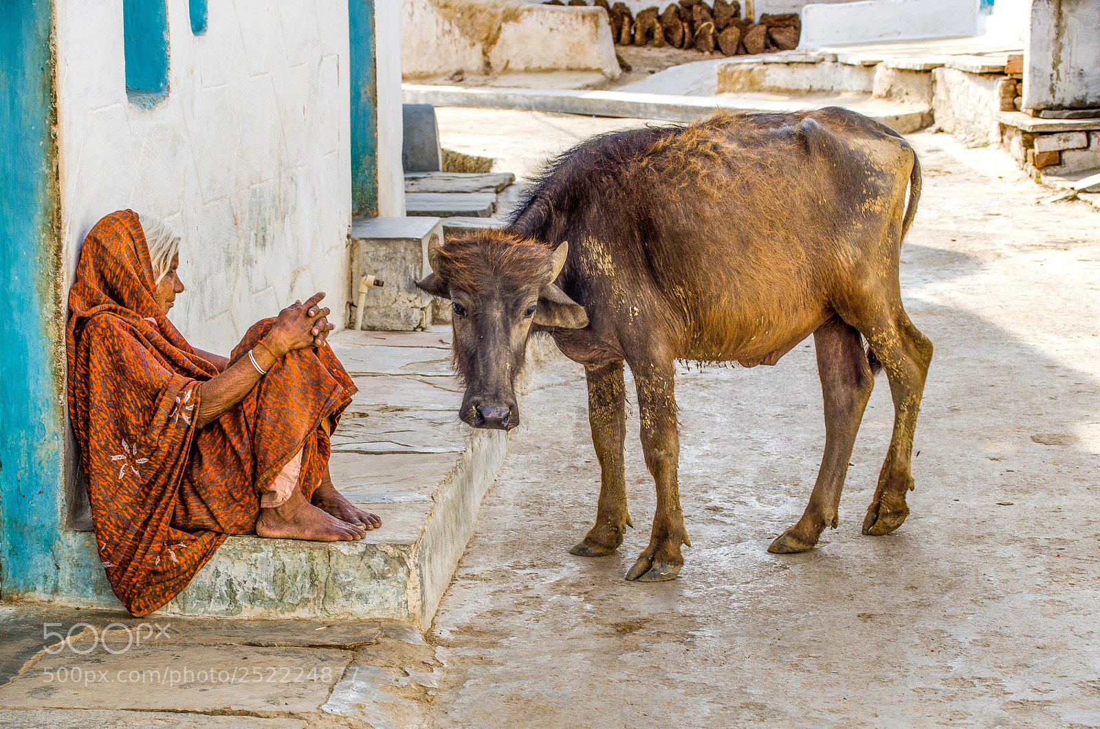 Nikon D7000 sample photo. Life in india photography