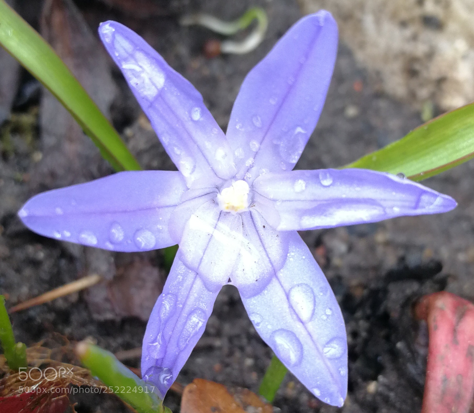 HUAWEI P10 sample photo. Untitled photography
