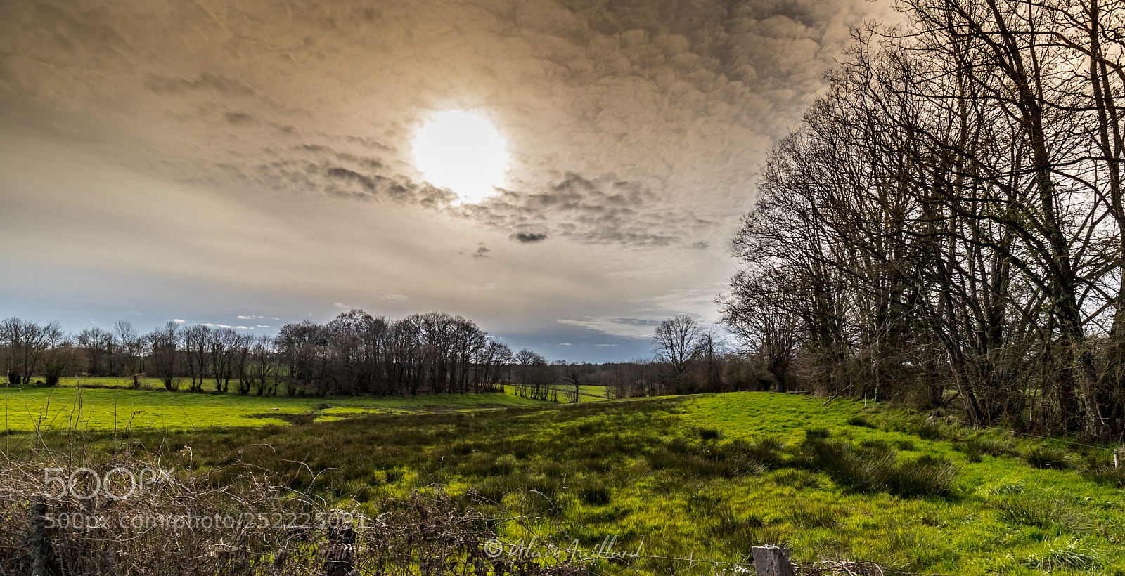 Canon EOS 6D Mark II sample photo. Prairie limousine photography
