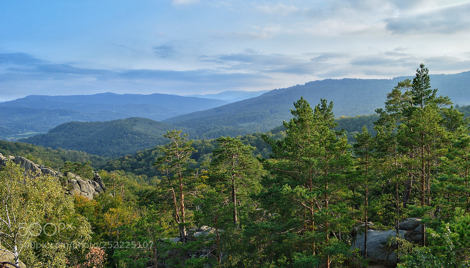 Nikon D3200 sample photo. Untitled photography
