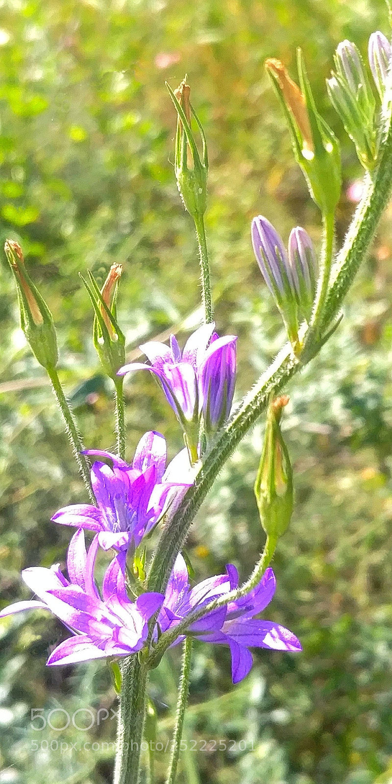 LG G6 sample photo. Going up photography