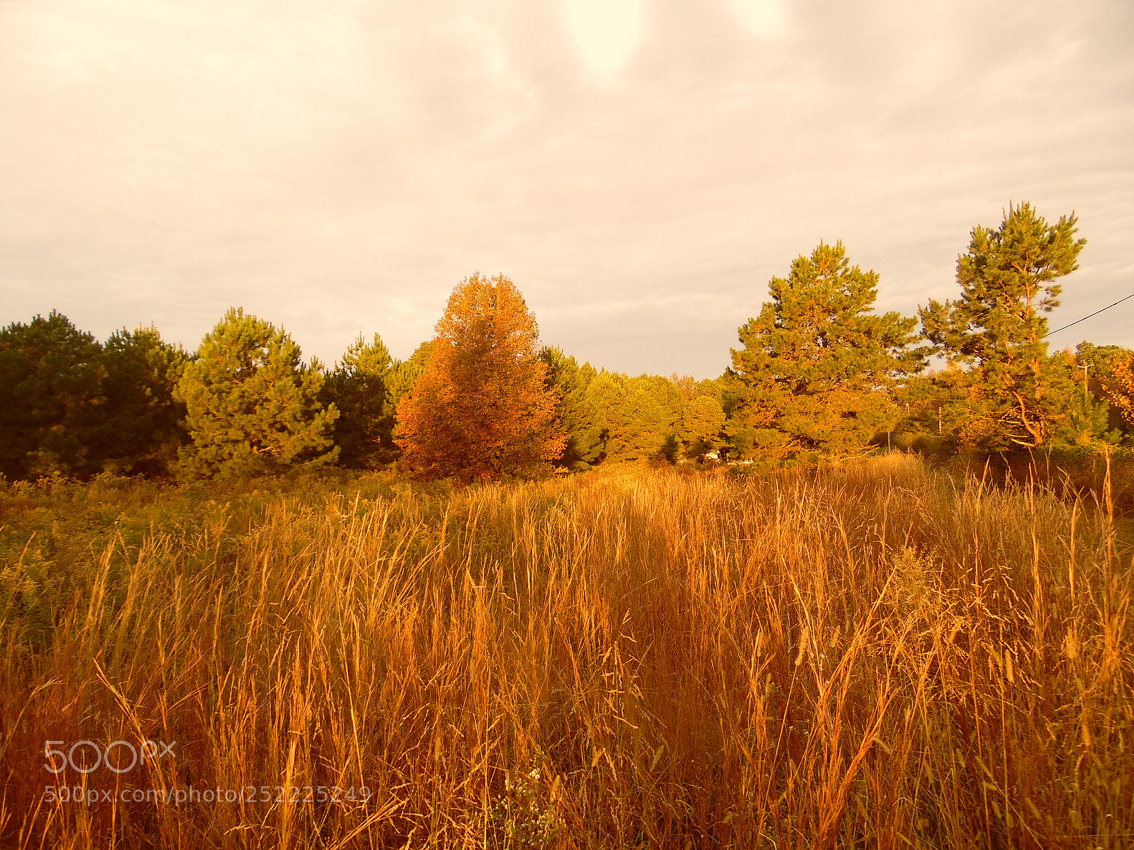 Samsung WB1100F/WB1101F/WB1102F sample photo. Farmland photography
