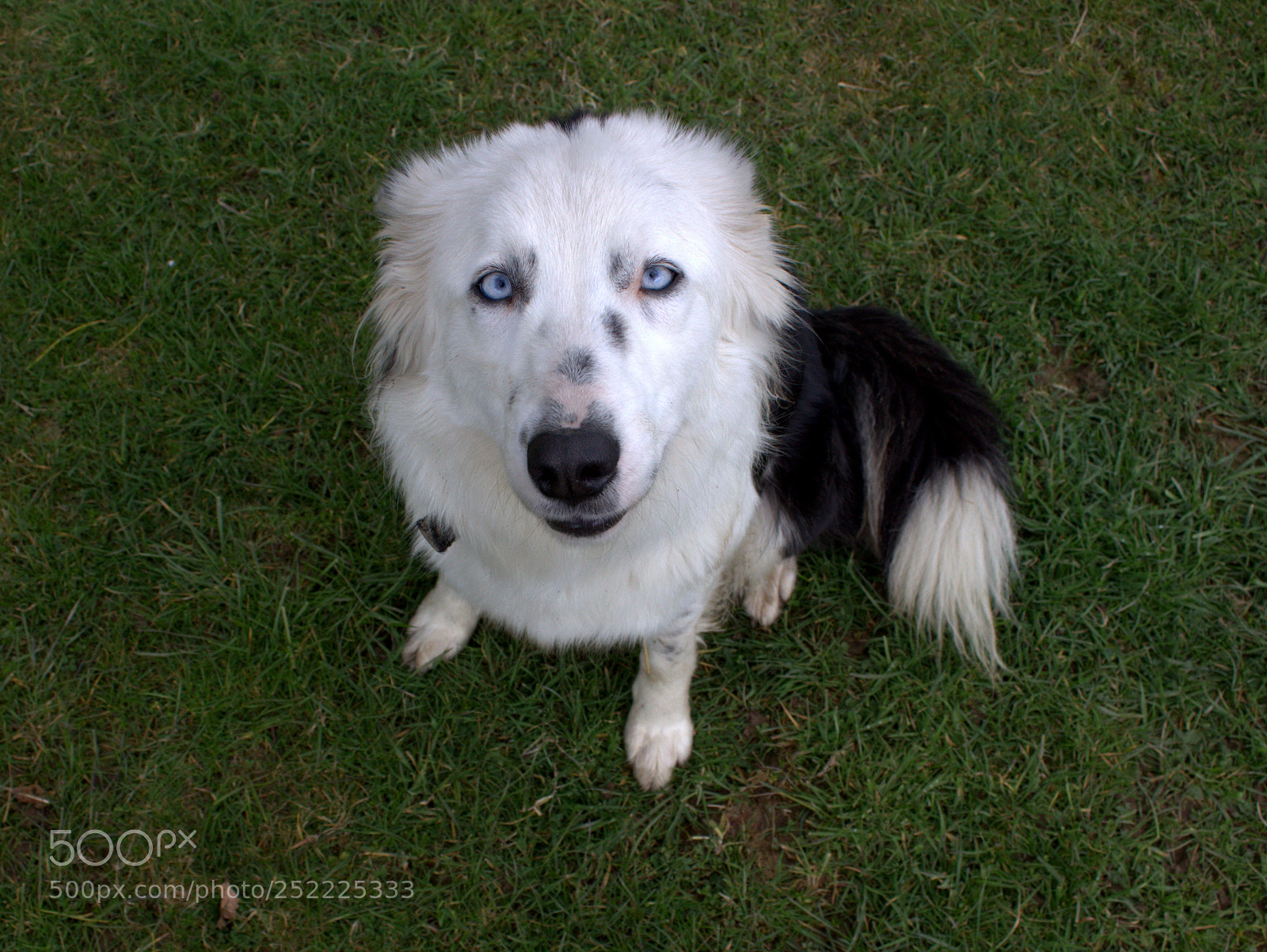 Canon EOS 100D (EOS Rebel SL1 / EOS Kiss X7) sample photo. Eye of the beholder photography