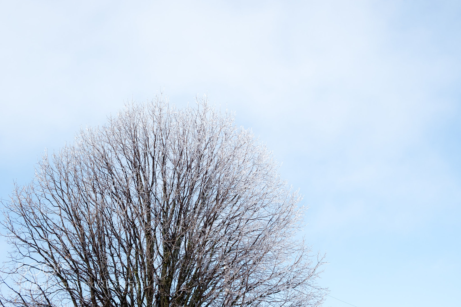Fujifilm X-T2 sample photo. Modifier photography