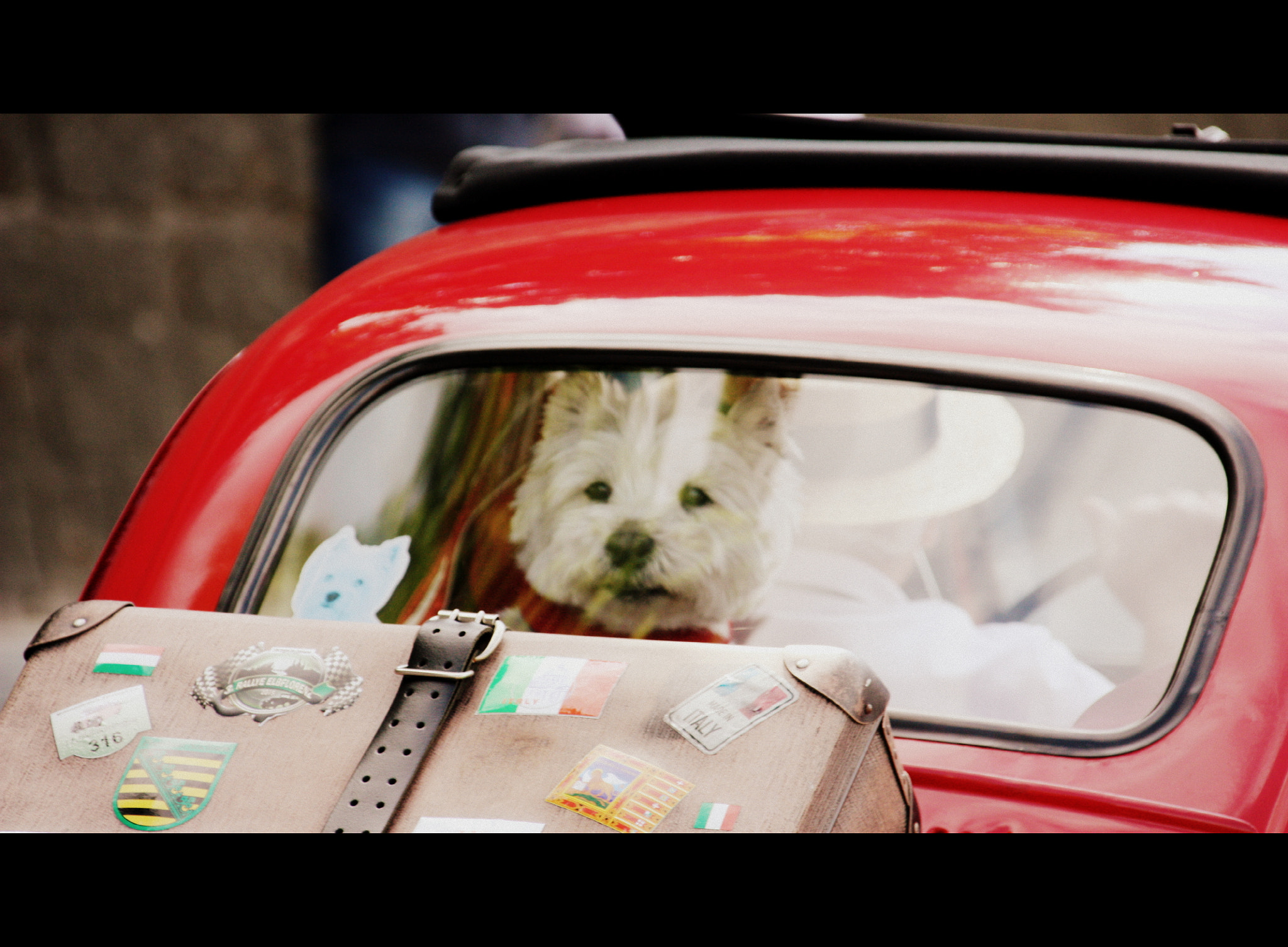 Canon EF 75-300mm F4.0-5.6 IS USM sample photo. Img photography