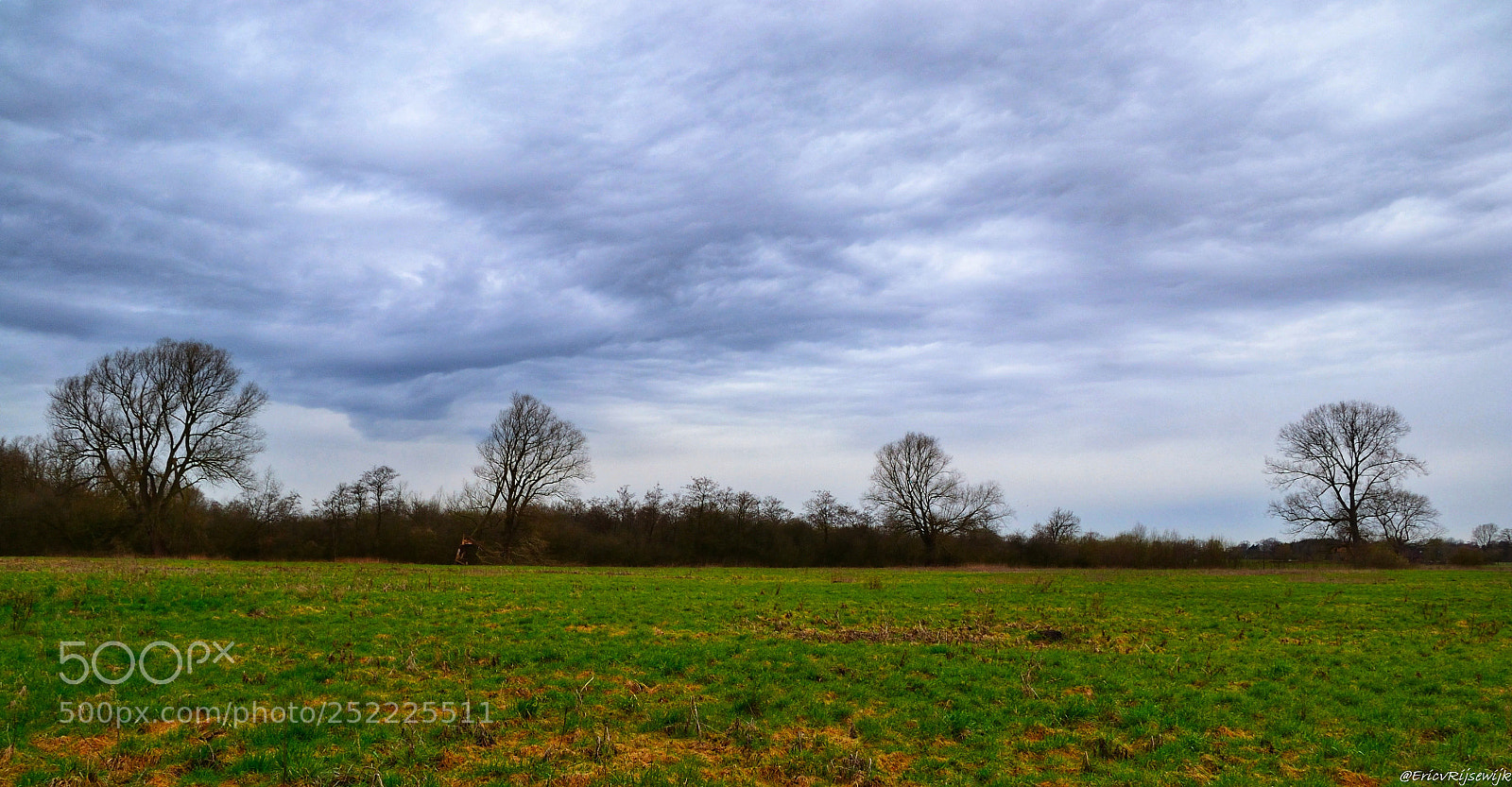 Nikon D3100 sample photo. Dutch photography