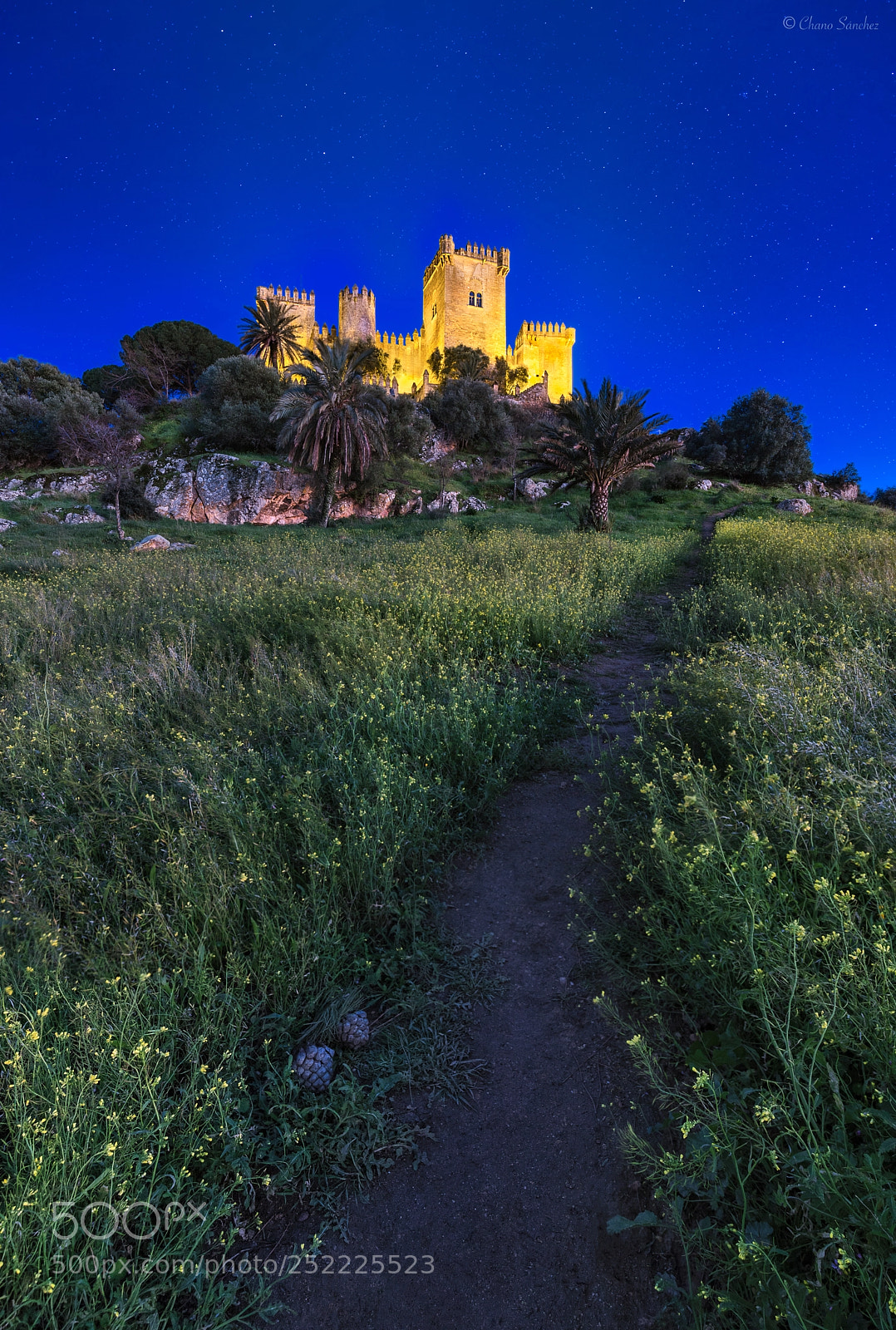 Canon EOS 6D Mark II sample photo. Way to the castle photography