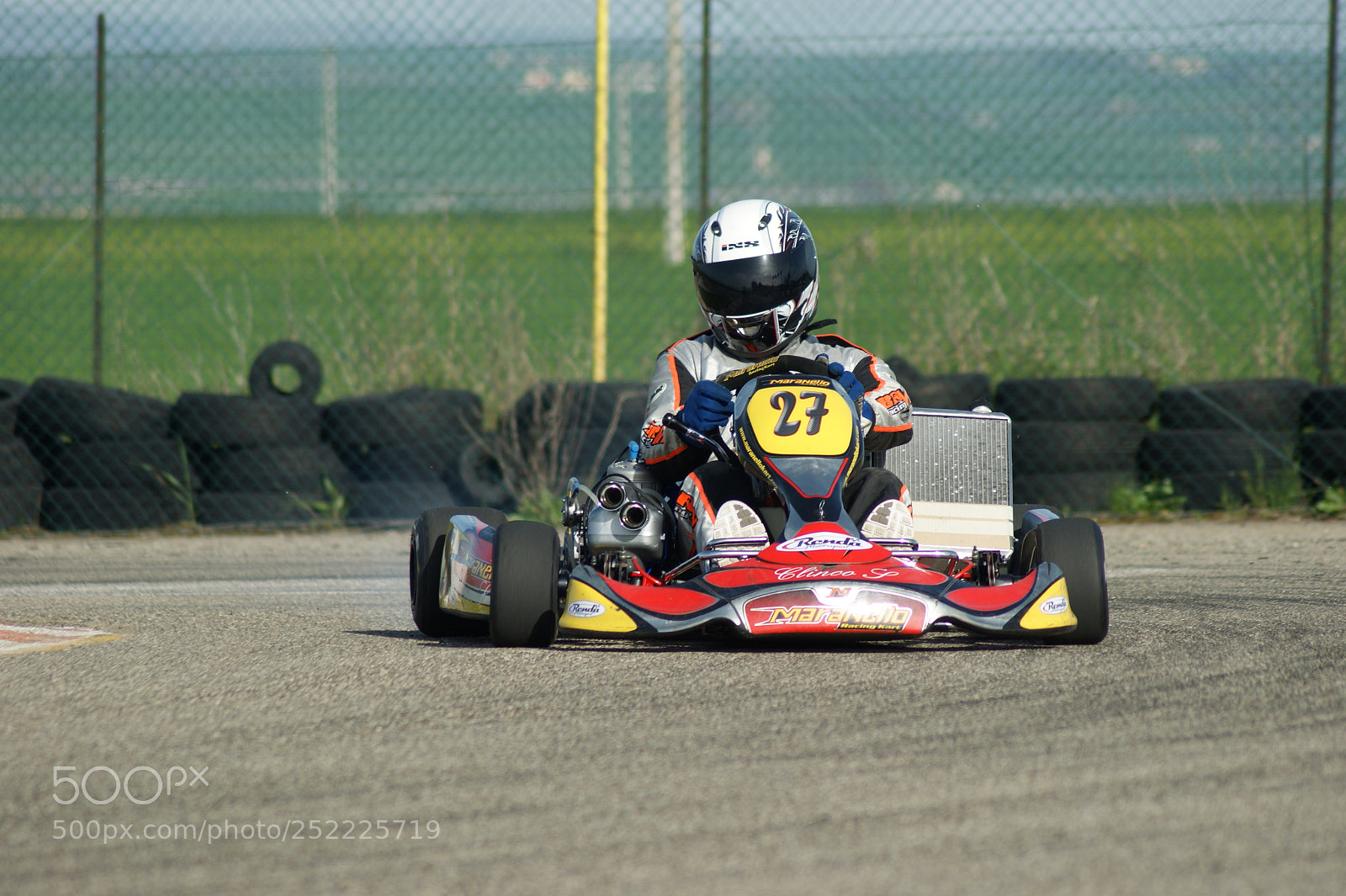 Sony Alpha DSLR-A290 sample photo. Go-kart photography