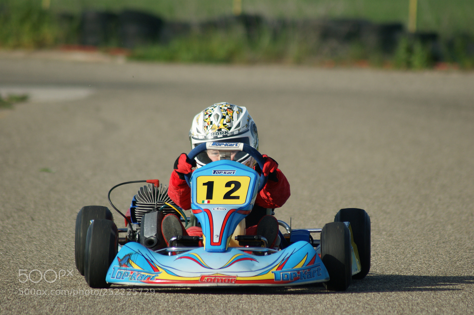 Sony Alpha DSLR-A290 sample photo. Baby kart photography