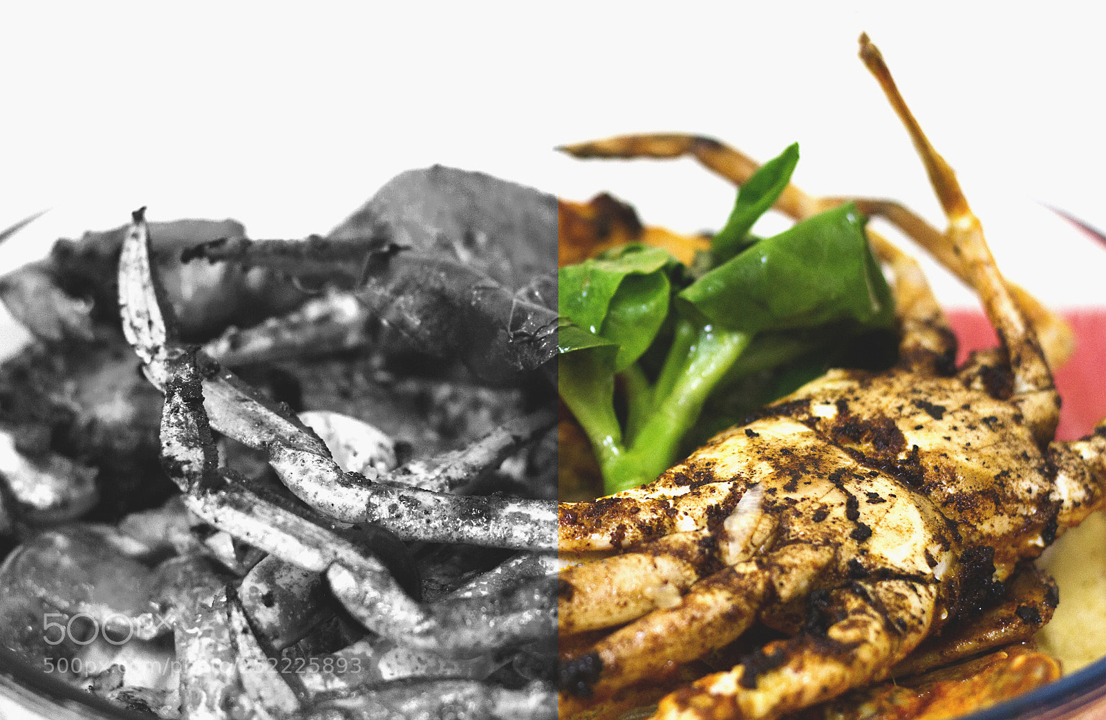 Canon EOS 7D sample photo. The crab photography