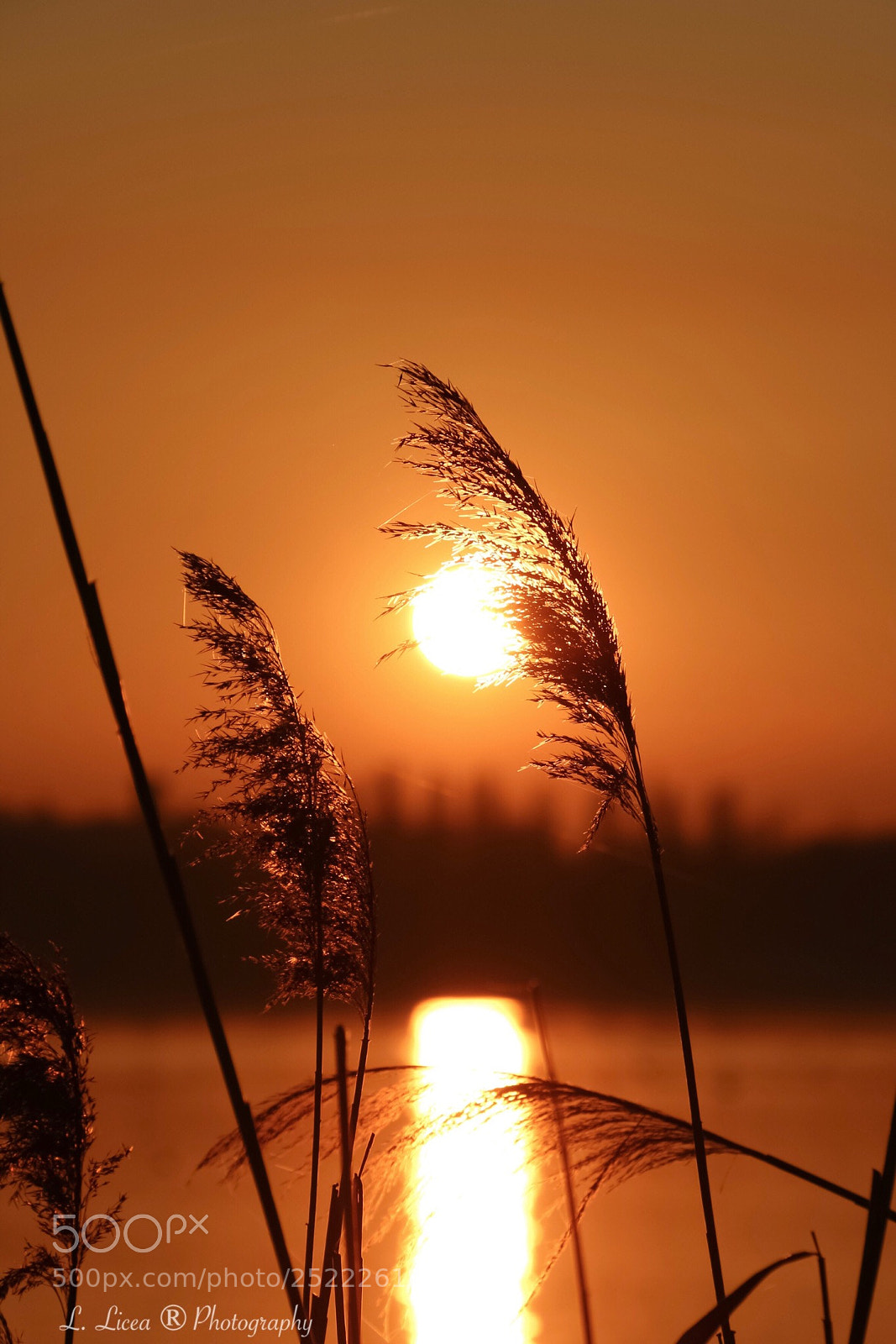 Canon EOS 70D sample photo. Untitled photography