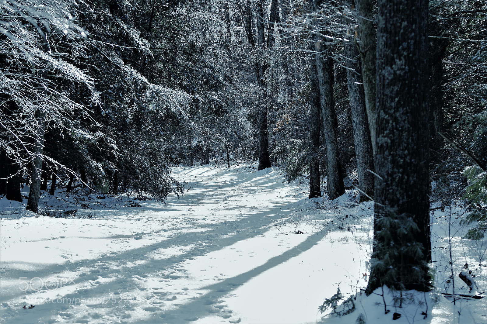 Canon EOS 7D Mark II sample photo. Winterscape photography