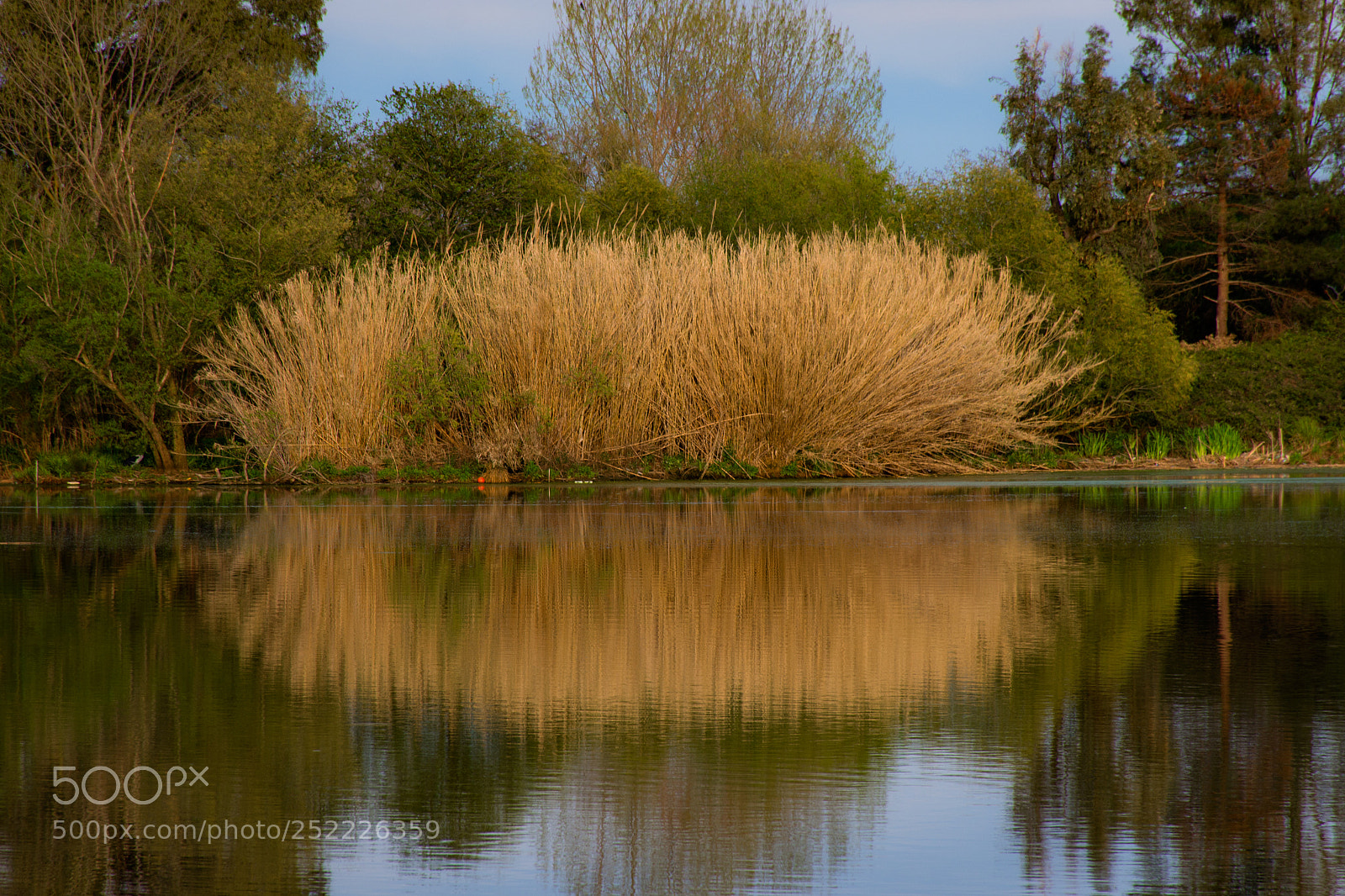 Nikon D7200 sample photo. E poi il calore photography