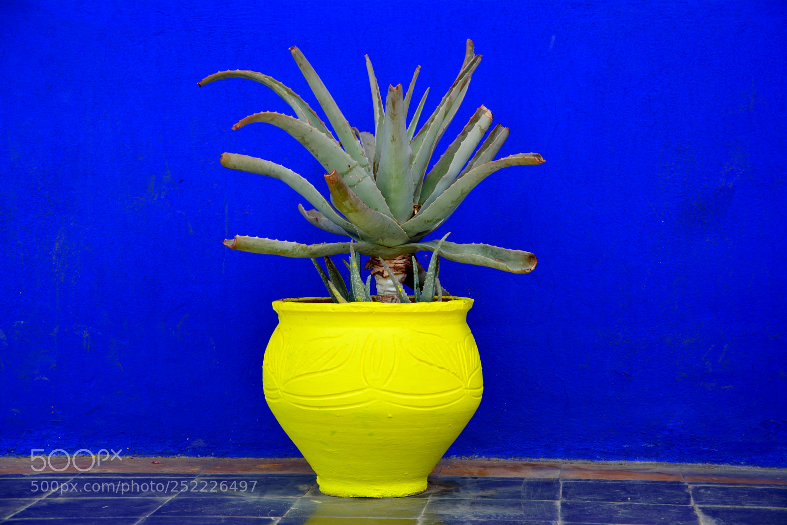 Nikon D5200 sample photo. Garden photography