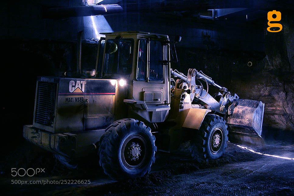 Canon EOS-1D Mark II sample photo. Caterpillar photography