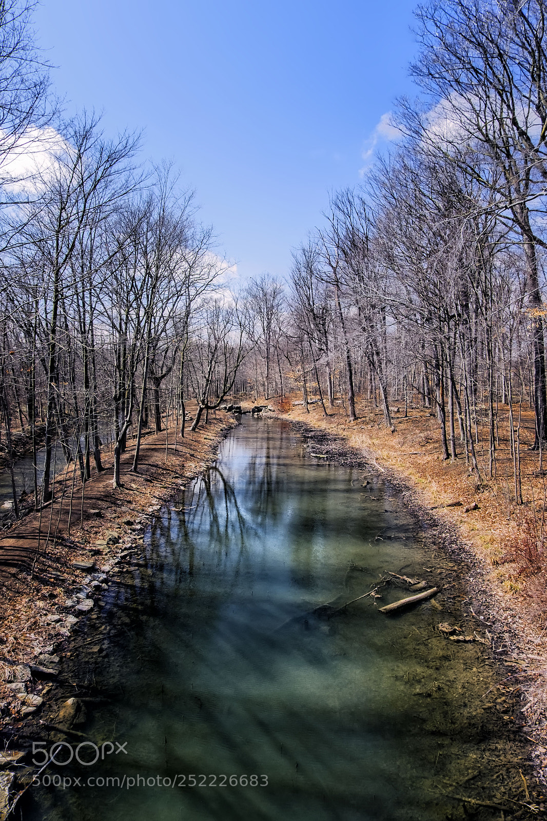 Fujifilm X-E2 sample photo. Mill pond park-milton photography