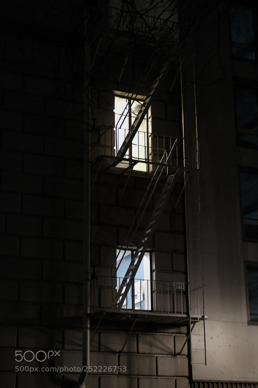 Fujifilm X-Pro2 sample photo. Untitled photography