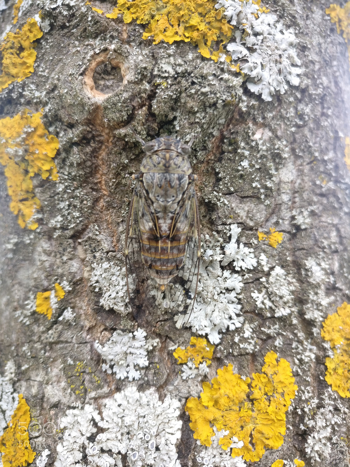OnePlus A3003 sample photo. Img_20170721_164833.jpg photography