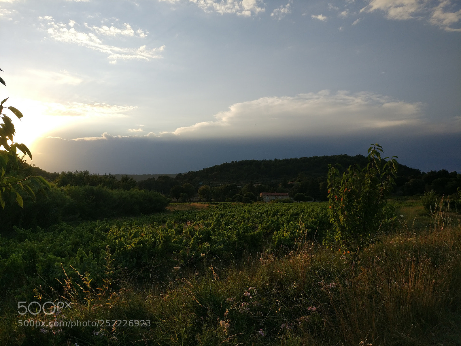 OnePlus A3003 sample photo. Img_20170720_203204.jpg photography