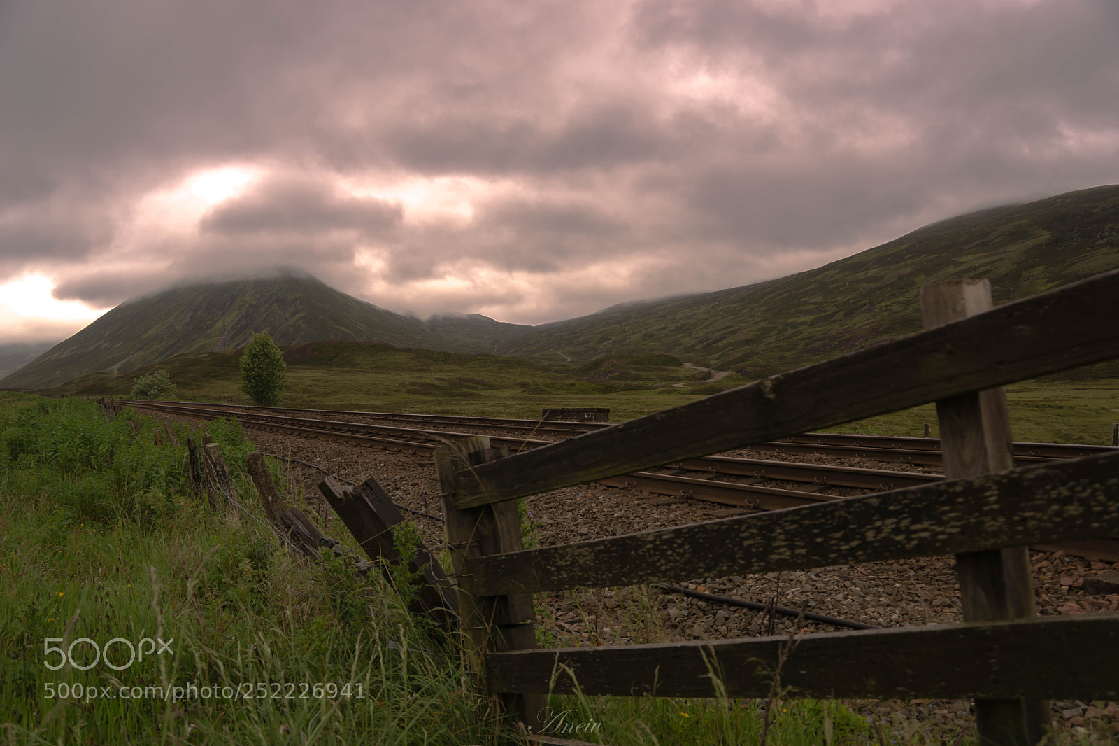 Sony a6000 sample photo. Cairngorms national park (scotland) photography