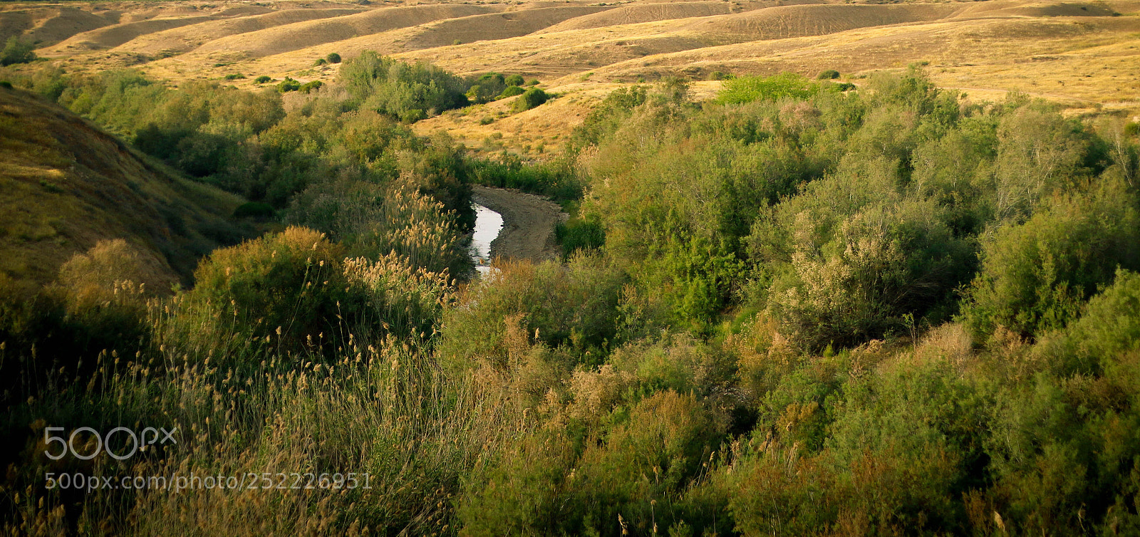Canon EOS 70D sample photo. Untitled photography