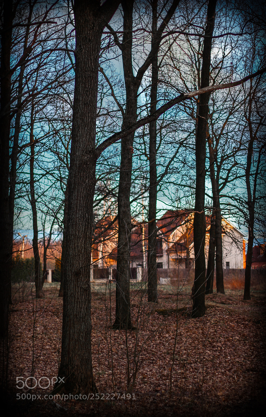 Canon EOS 600D (Rebel EOS T3i / EOS Kiss X5) sample photo. Landscape in blue and photography