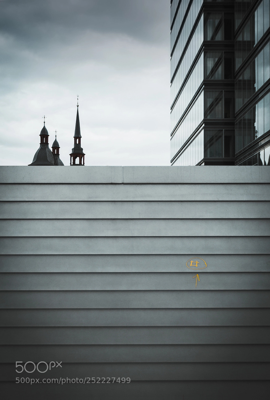Canon EOS 600D (Rebel EOS T3i / EOS Kiss X5) sample photo. • hide and seek photography