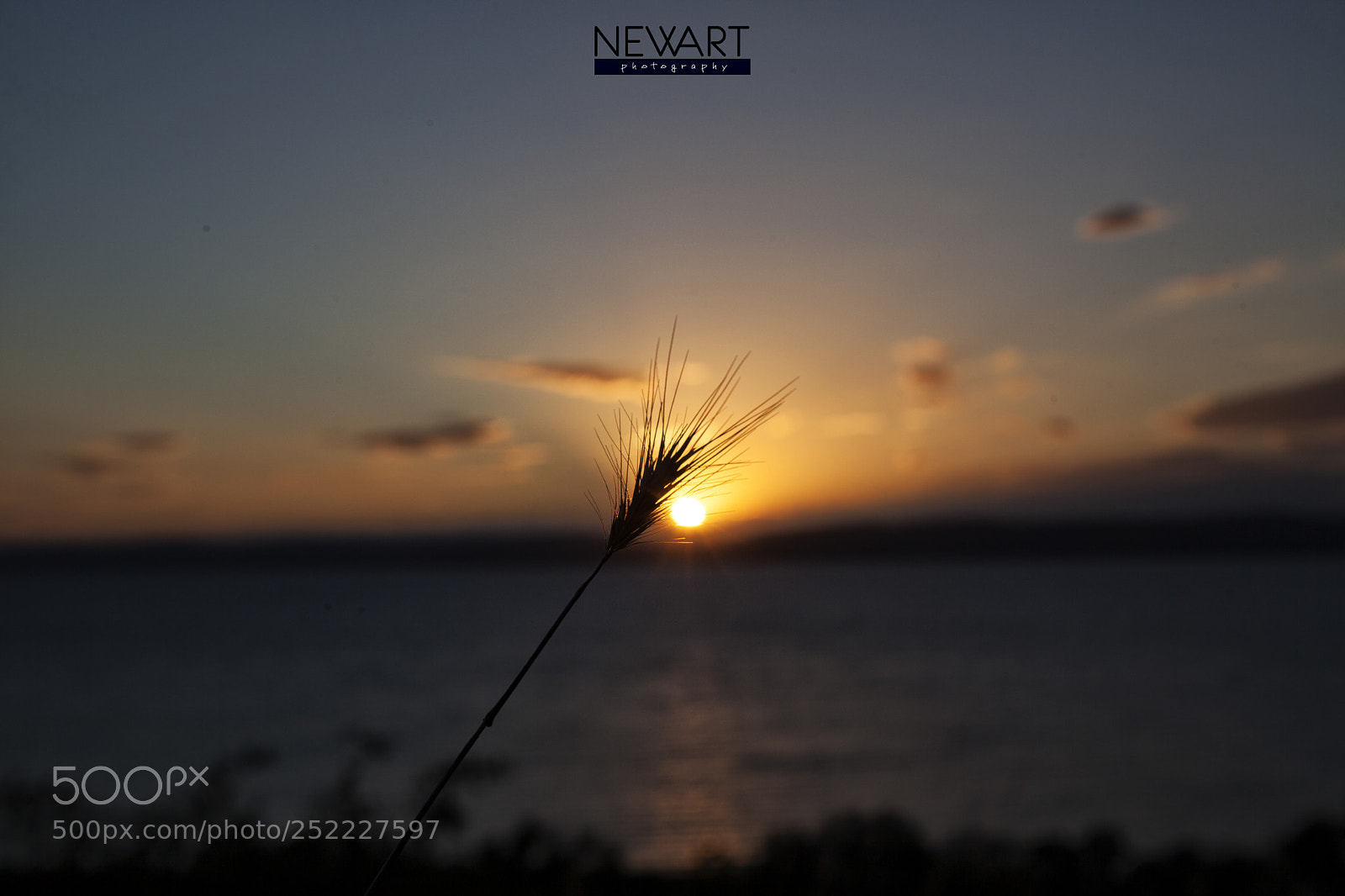 Canon EOS 5D Mark II sample photo. 4360 photography