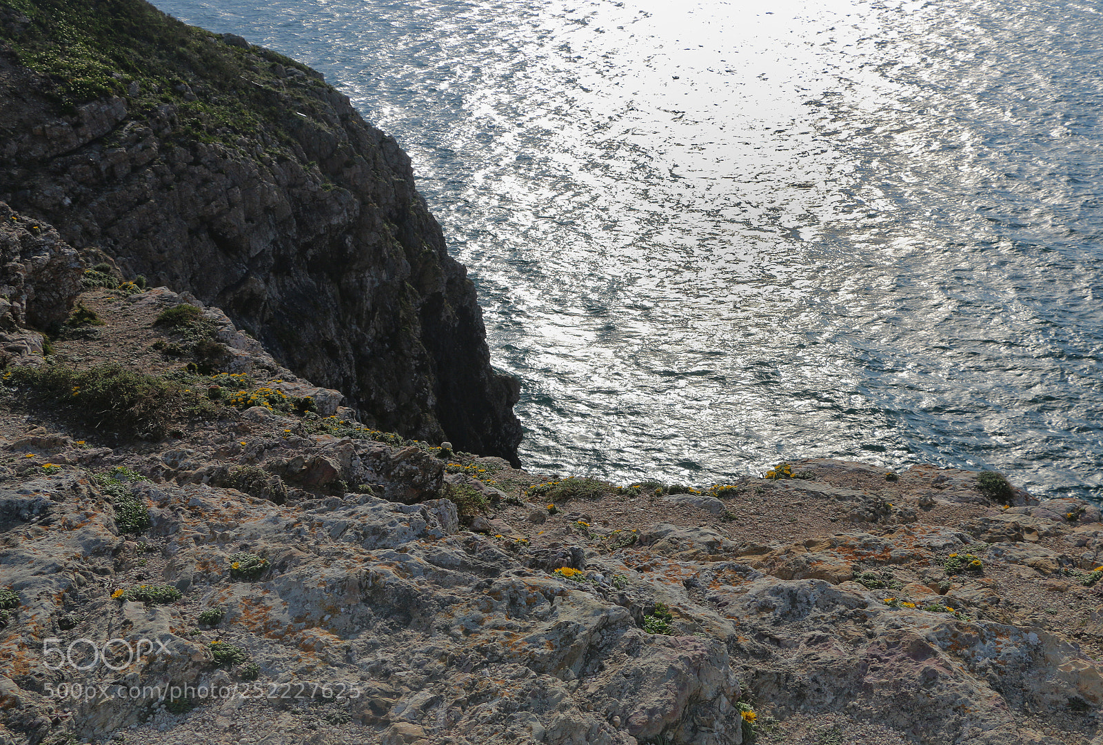 Canon EOS 70D sample photo. Sun reflexion from a photography