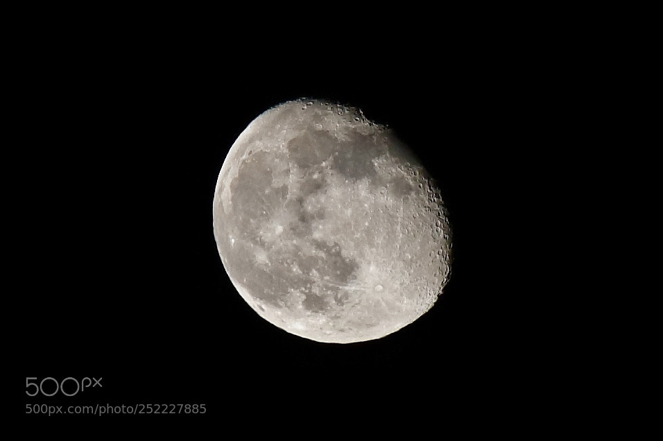 Canon EOS 1000D (EOS Digital Rebel XS / EOS Kiss F) sample photo. The moon of the photography