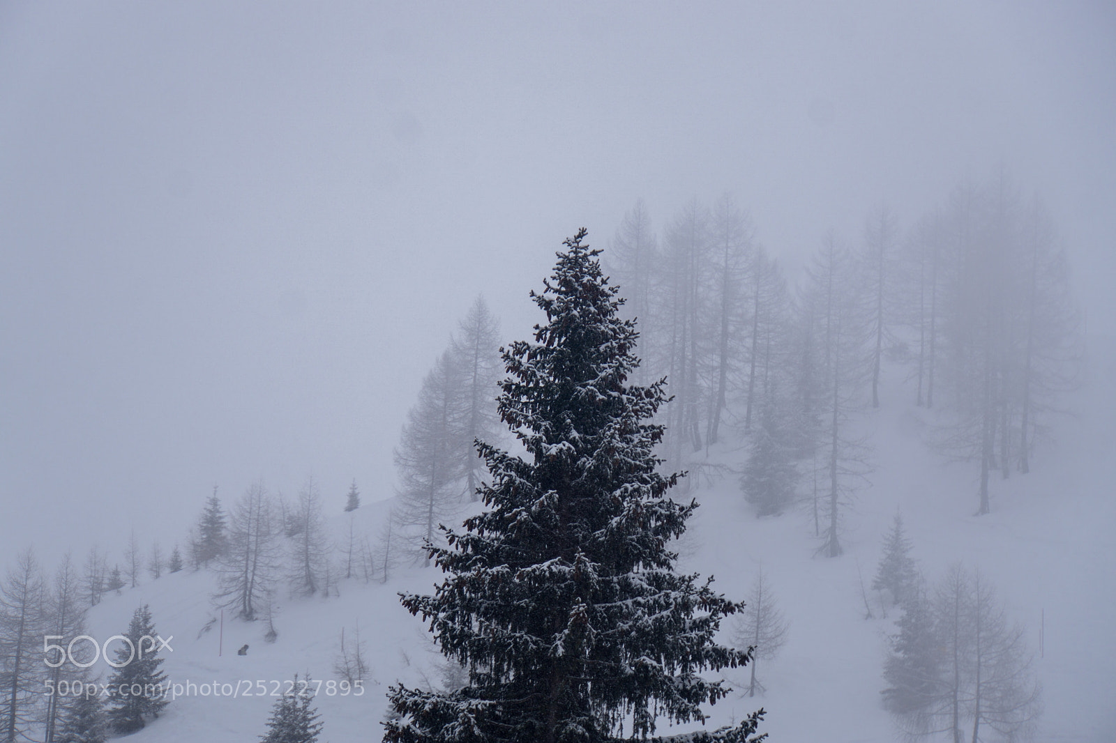 Sony a6000 sample photo. Winterstimmung photography