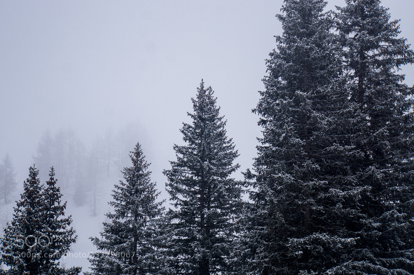 Sony a6000 sample photo. Winterstimmung photography