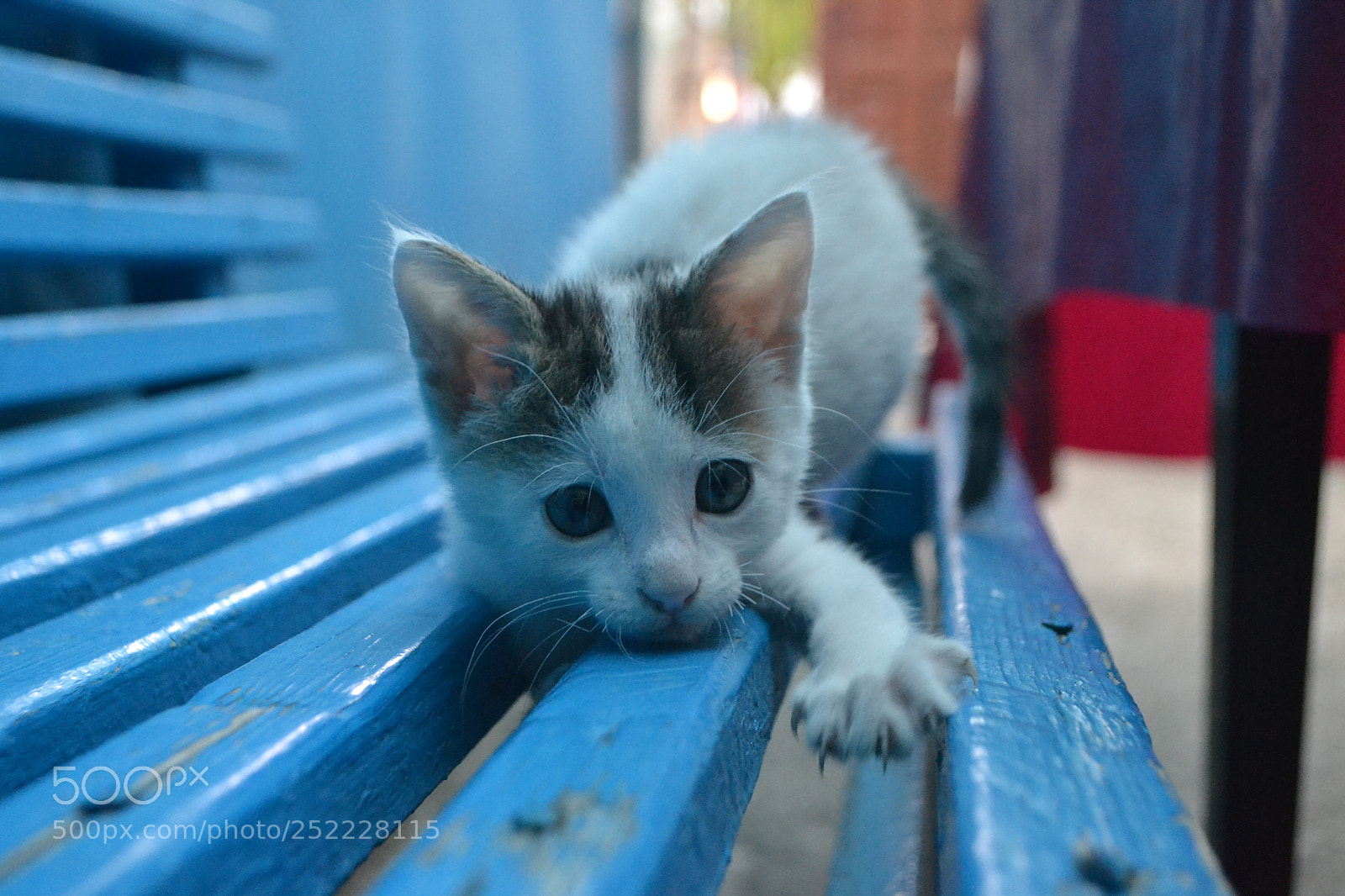 Nikon D3100 sample photo. Untitled photography