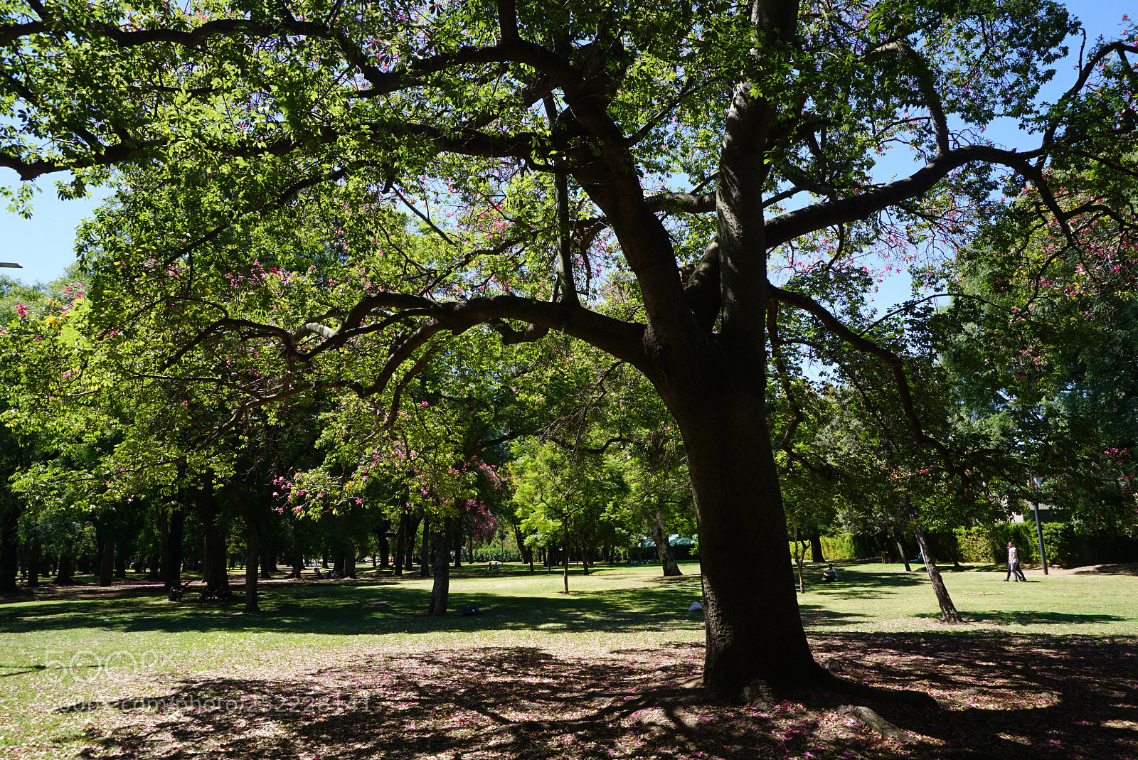 Sony a6000 sample photo. Buenos aires argentina photography