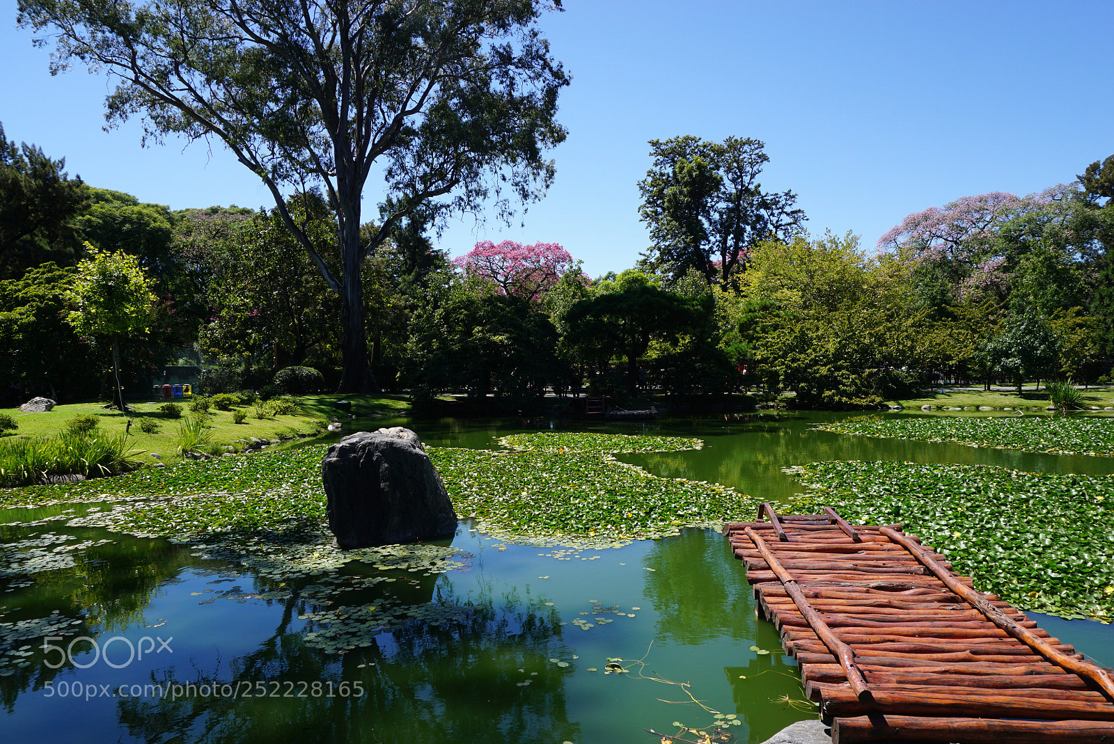 Sony a6000 sample photo. Buenos aires argentina photography