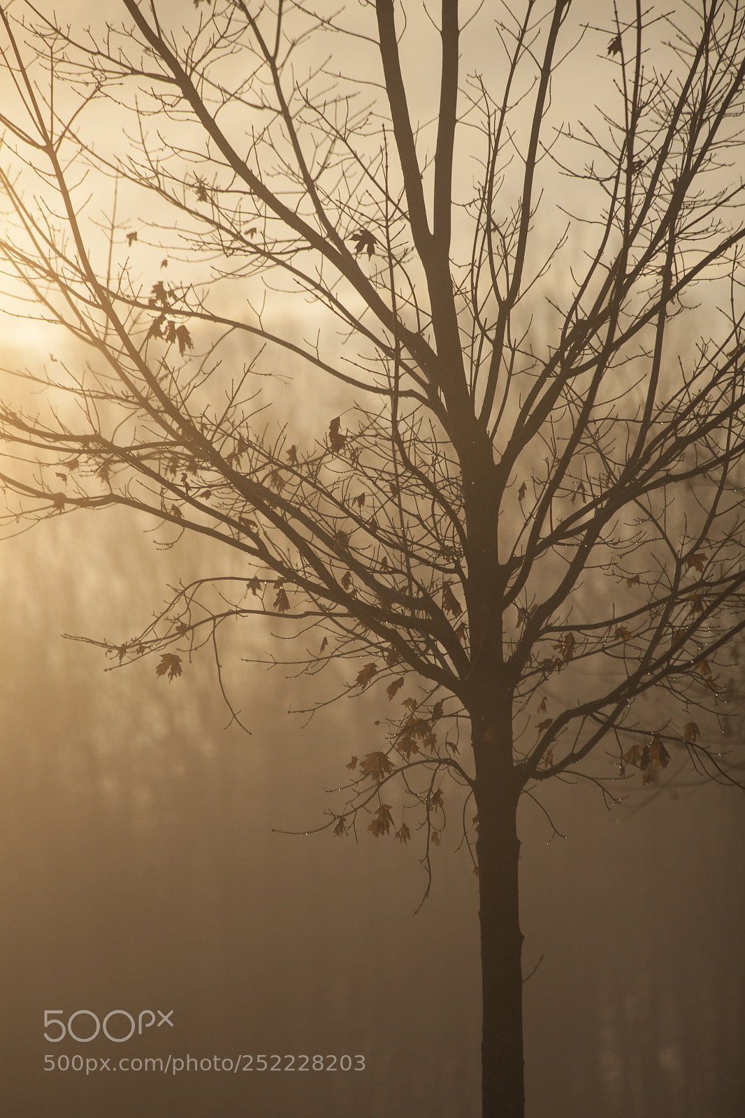 Canon EOS 5D Mark II sample photo. A sunrise moment photography