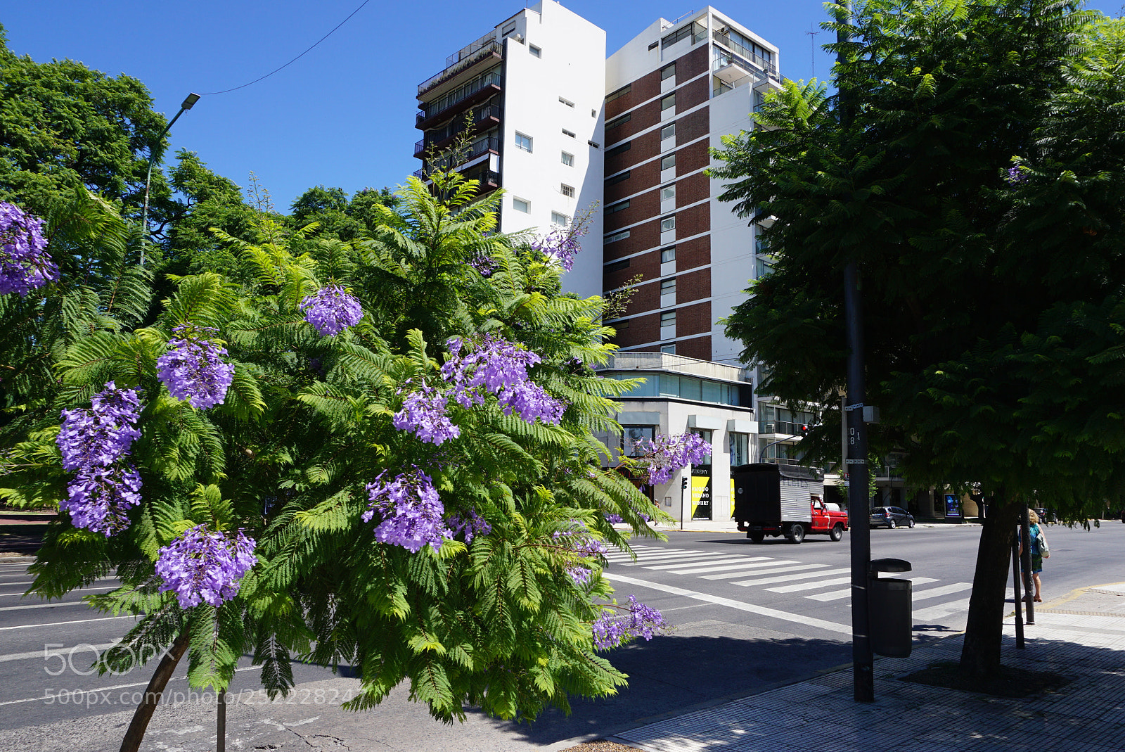 Sony a6000 sample photo. Buenos aires argentina photography